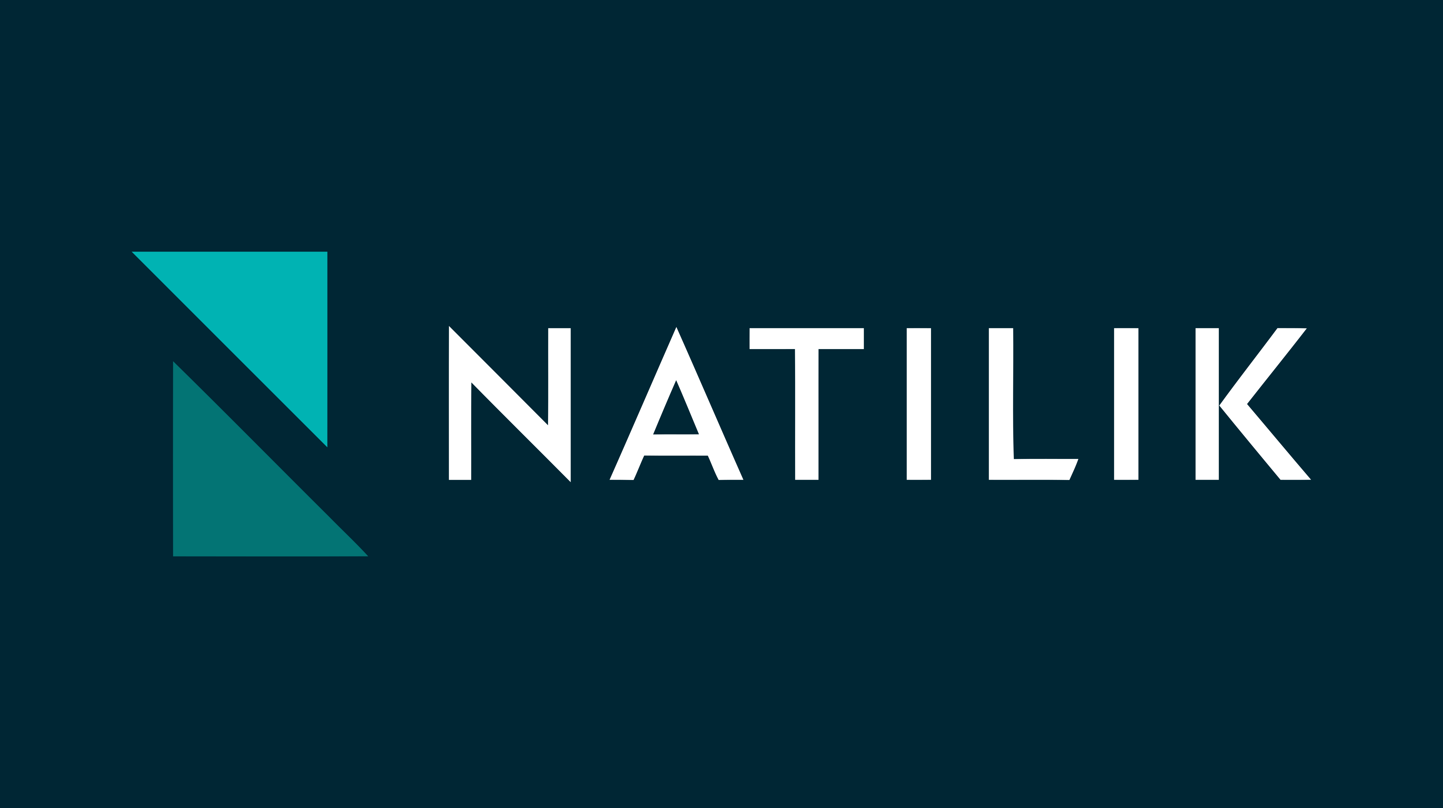 Natilik logo